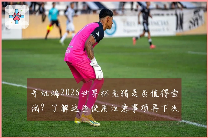 手机端2026世界杯竞猜是否值得尝试？了解这些使用注意事项再下决定