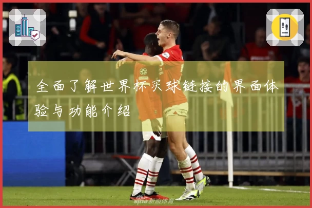 全面了解世界杯买球链接的界面体验与功能介绍