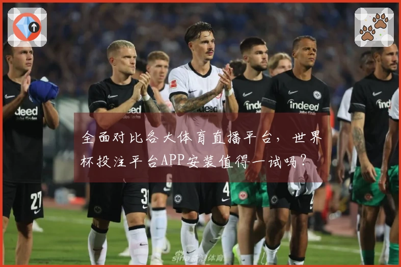 全面对比各大体育直播平台，世界杯投注平台APP安装值得一试吗？