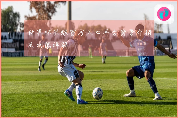 世界杯买球官方入口平台背景介绍及功能详解