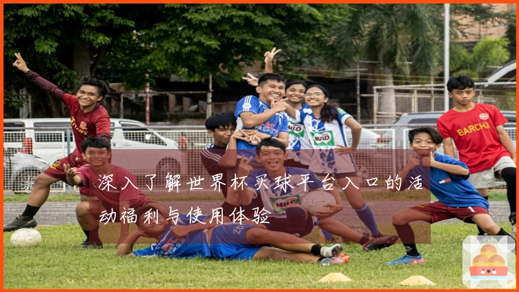深入了解世界杯买球平台入口的活动福利与使用体验