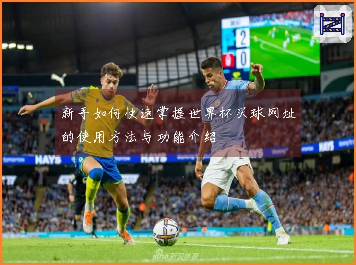 新手如何快速掌握世界杯买球网址的使用方法与功能介绍