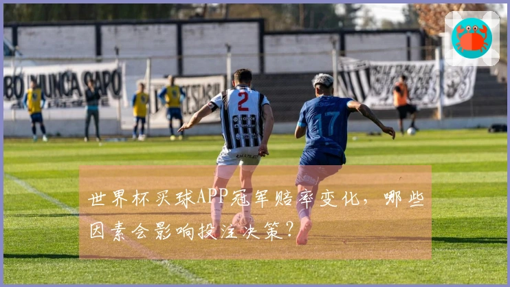 世界杯买球APP冠军赔率变化，哪些因素会影响投注决策？