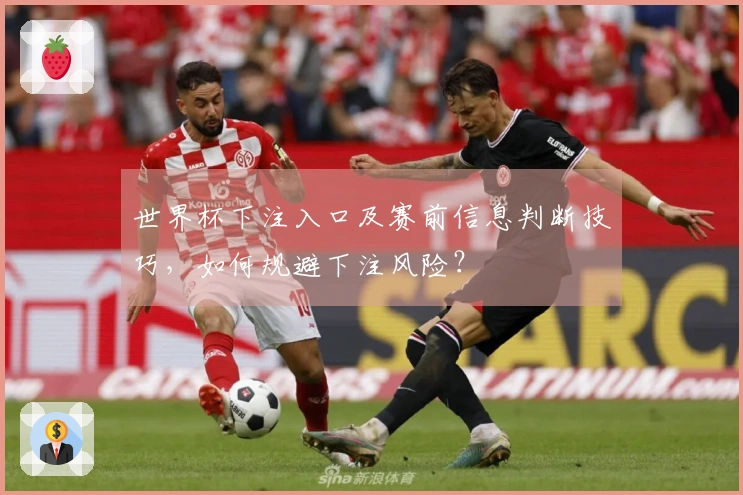 世界杯下注入口及赛前信息判断技巧,如何规避下注风险?