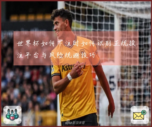 世界杯如何下注时如何识别正规投注平台与风险规避技巧