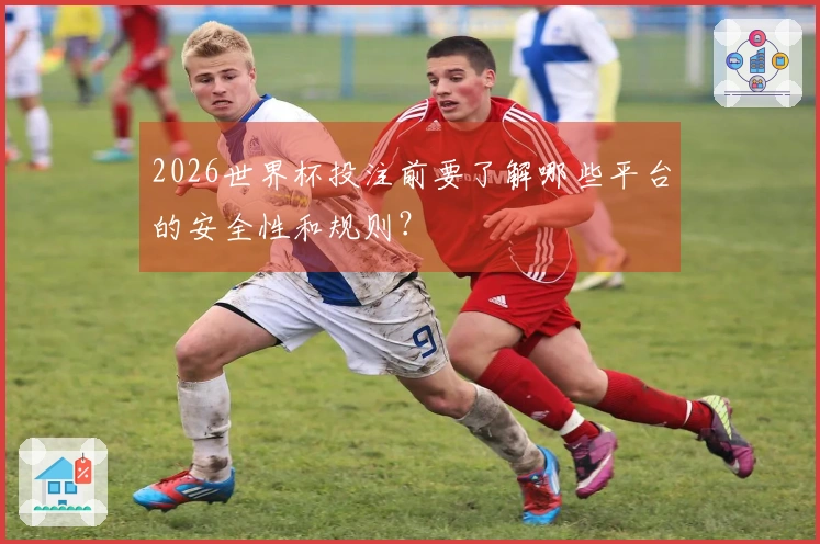 2026世界杯投注前要了解哪些平台的安全性和规则？