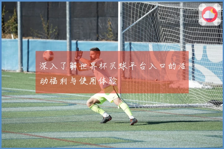 深入了解世界杯买球平台入口的活动福利与使用体验