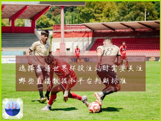 选择靠谱世界杯投注站时需要关注哪些直播数据和平台判断标准