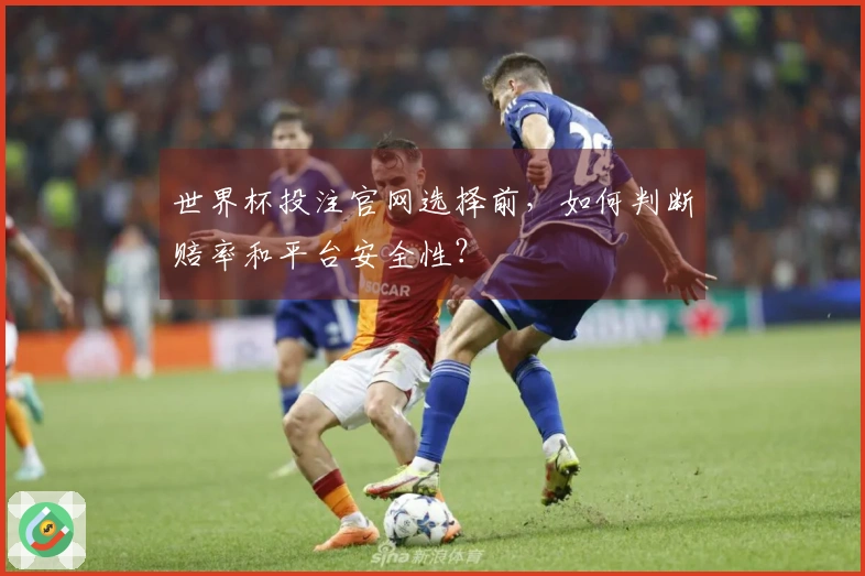 世界杯投注官网选择前，如何判断赔率和平台安全性？