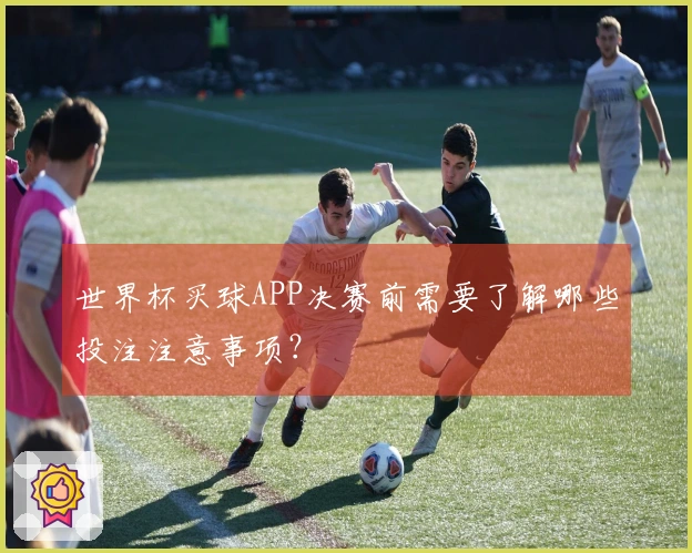 世界杯买球APP决赛前需要了解哪些投注注意事项？