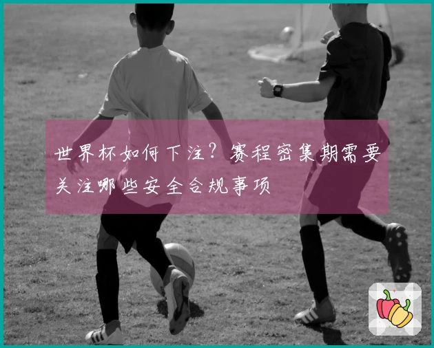 世界杯如何下注？赛程密集期需要关注哪些安全合规事项