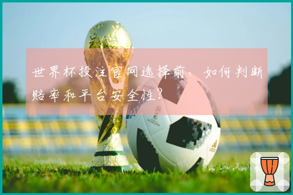 世界杯投注官网选择前，如何判断赔率和平台安全性？