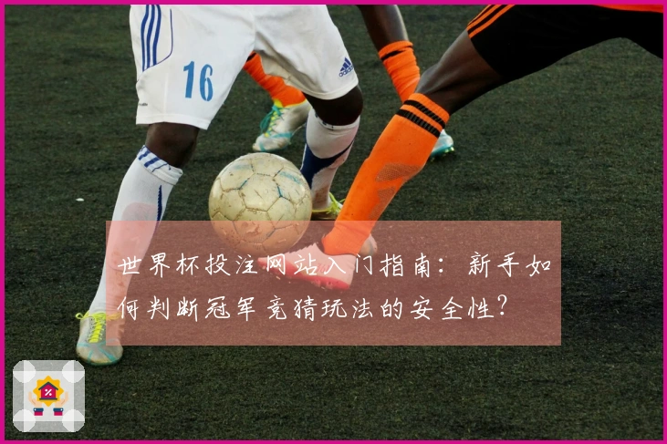 世界杯投注网站入门指南：新手如何判断冠军竞猜玩法的安全性？